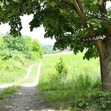 Holiday home Sara&lav Rent A House Velika Remeta