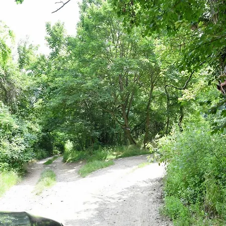 Sara&lav Rent A House Holiday home Velika Remeta